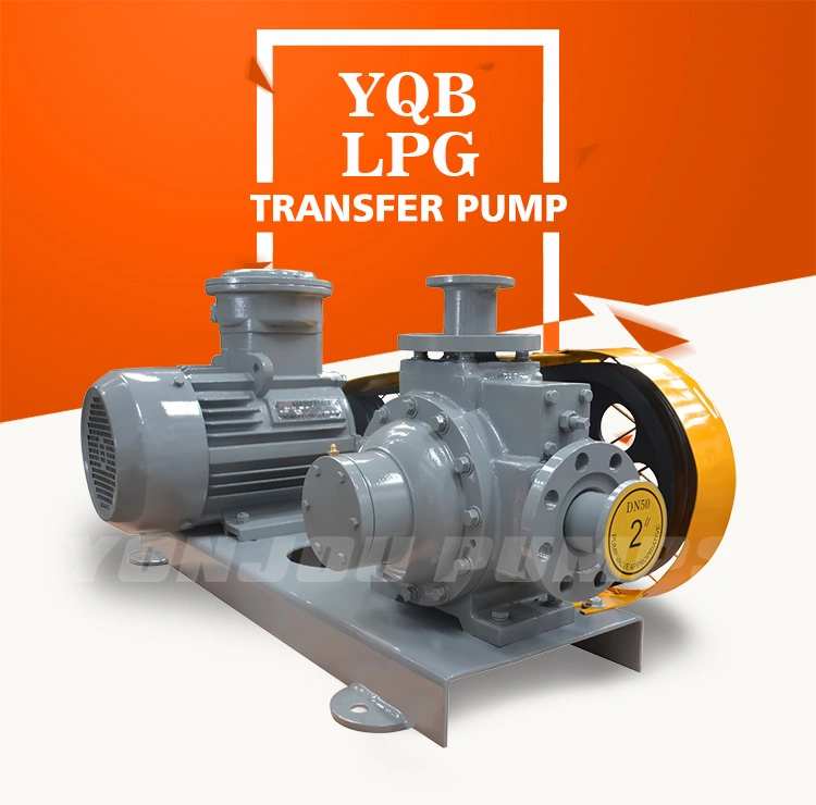 LPG Petroleum Gas Transfer Pump (liquefied petroleum gas pump)