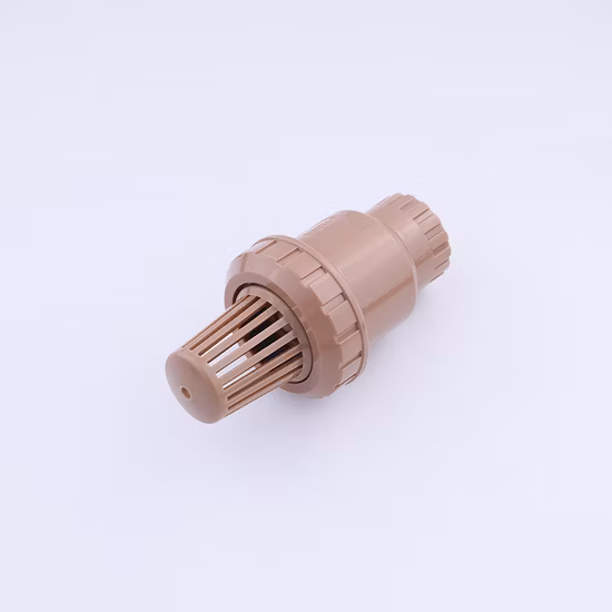 Clapet de pied en plastique de chlorure de polyvinyle, clapet anti-retour en PVC à action rapide, soupape de commande, clapet de pied, fabriqué en Chine