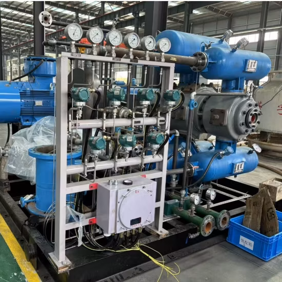 Distributeur de GNC Pompe à palettes Compteur de gaz Réservoir de conteneur Pompes à buses Débitmètre Réservoir de pression de rupture Pompe GNC Distributeur de GNL Pompe GPL