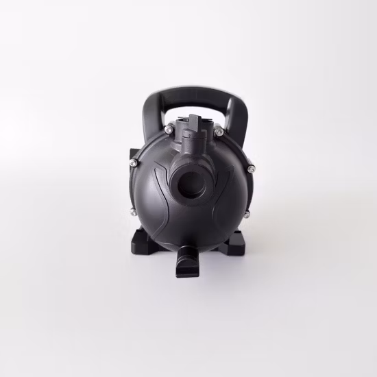 Pompe de jardin (AUTO-JETS-G) avec approbation CE